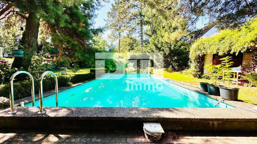Einfamilienhaus im Bungalow-Stil + Nutzflächen / Pool / Terrasse auf riesigem Traumgrundstück - Pool